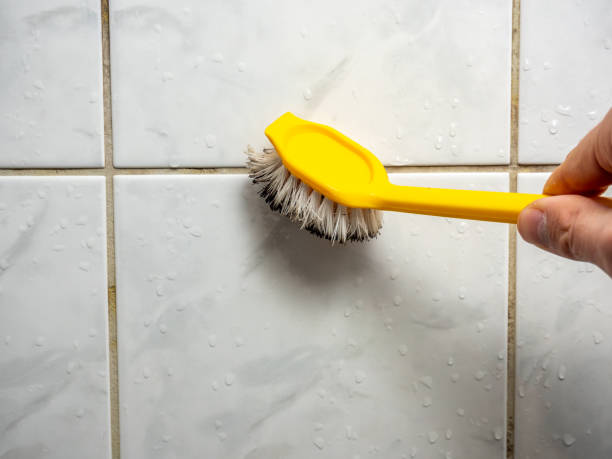 Glennville, GA Mold Removal Company