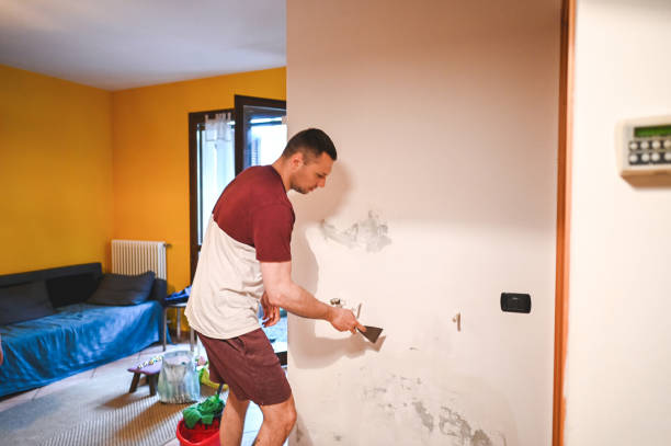 Best Mold Removal Near Me  in Glennville, GA