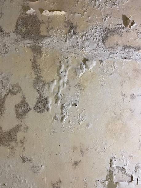 Best Water Damage Restoration  in Glennville, GA